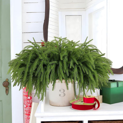 🎄Vacker julspecial 49%🎄Norfolk Pine Branch